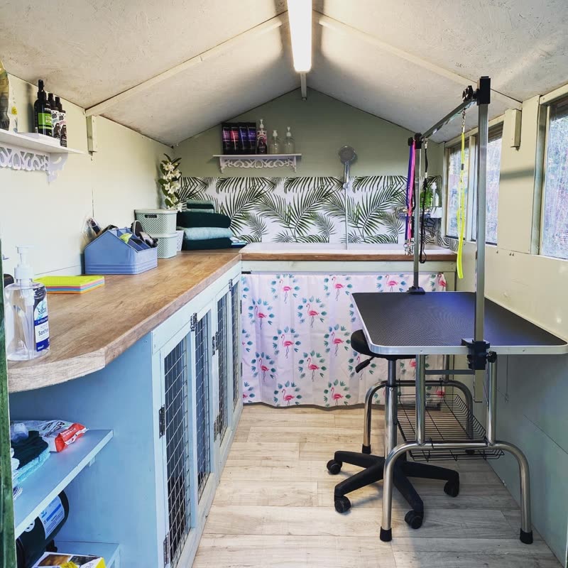 Inside the Feral to Fabulous grooming cabin: the grooming table, sage-green walls and palm-leaf wallpaper